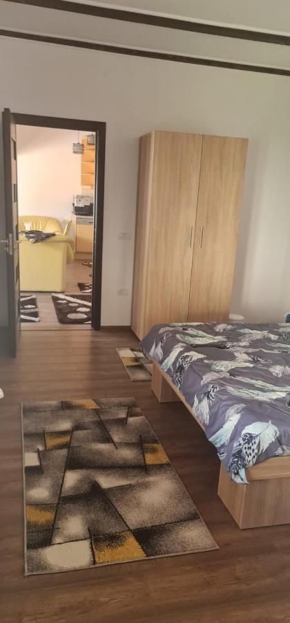 La Ovi Hotel Făgăraş Buitenkant foto